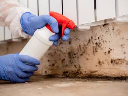 Best Biohazard Mold Removal  in Port St John, FL